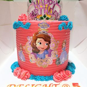 7" Princess Birthday 🍰