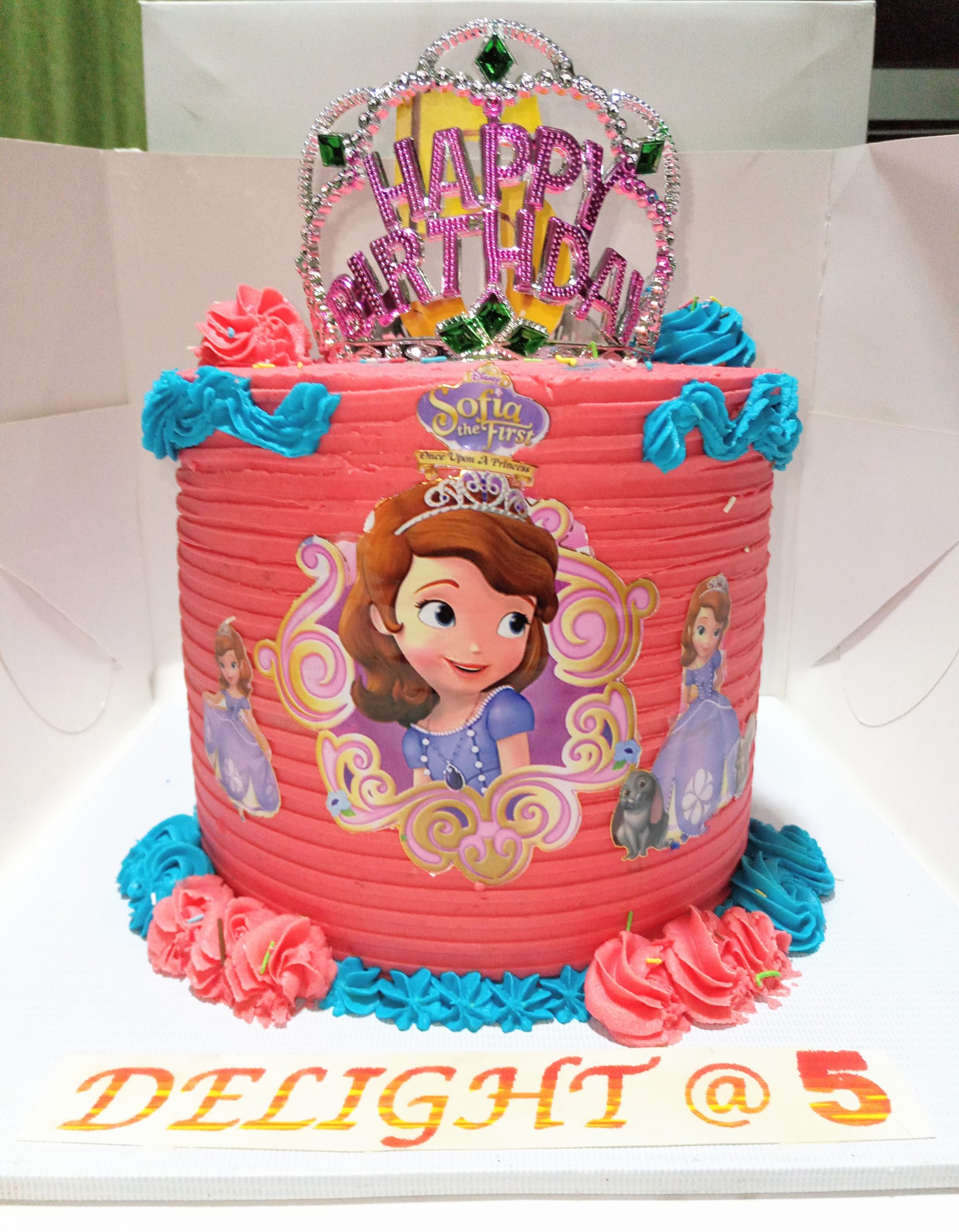 7" Princess Birthday 🍰